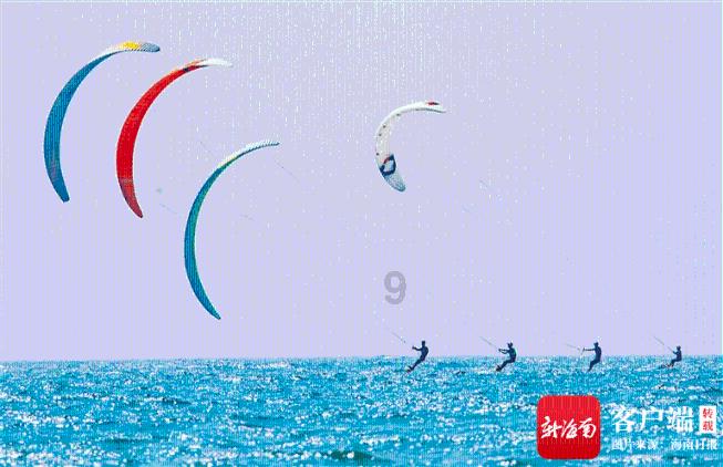 国王的坐骑